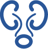 Icon highlighting genitourinary cancer studies, featuring imagery linked to urinary and reproductive systems.