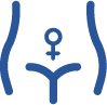 Icon focused on gynecologic oncology, symbolizing research in female reproductive cancers.